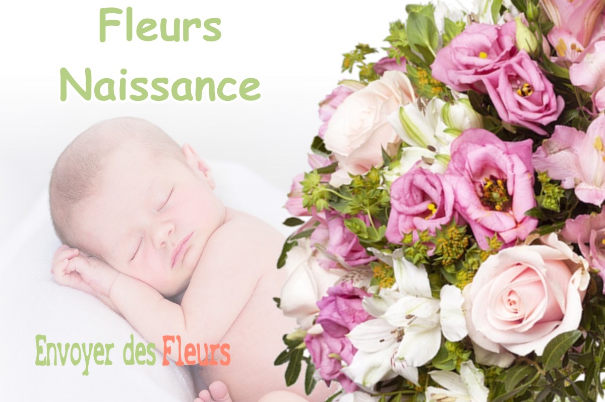 lIVRAISON FLEURS NAISSANCE à PONTENX-LES-FORGES